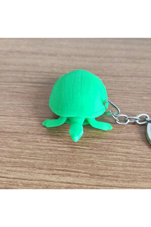 Caretta Caretta 12539