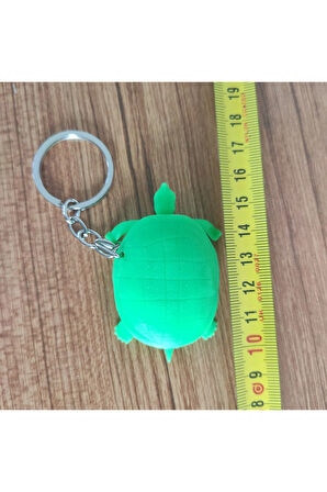 Caretta Caretta 12539