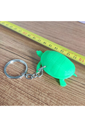 Caretta Caretta 12539