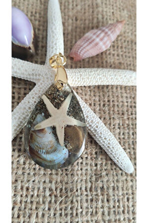 Deniz Yıldızı, Sade, Deniz Manzaralı