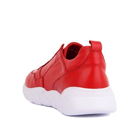 Sail Lakers - Kırmızı Deri Erkek Sneaker