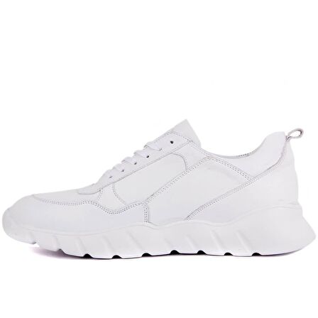 Sail Lakers - Beyaz Deri Erkek Sneaker