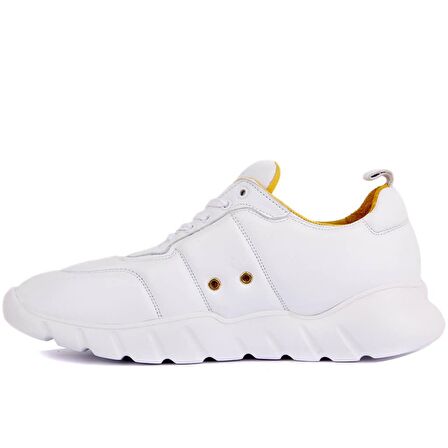 Sail Lakers - Beyaz Deri Erkek Sneaker