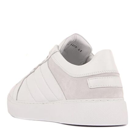 Sail Lakers - Beyaz Deri Bağcıklı Erkek Sneaker