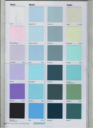 Filli Boya Momento Silan Silikonlu İç Cephe Boyası 15 Lt