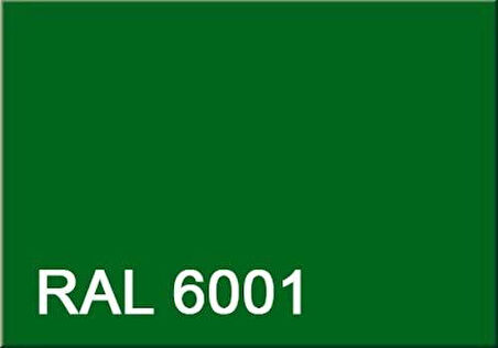 Pamukkale 1453 Rapid Boya 95 Gloss Parlaklık 15 Kg Çimen Yeşili Ral 6001