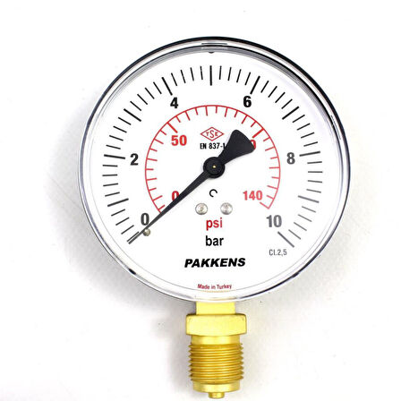 Pakkens 0-10 Bar 100 mm Alttan Bağlantılı Kuru Manometre G 1/2 inç