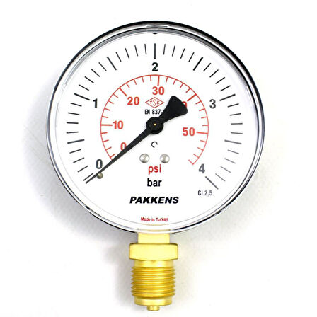 Pakkens 0-4 Bar 100 mm Alttan Bağlantılı Kuru Manometre G 1/2 inç