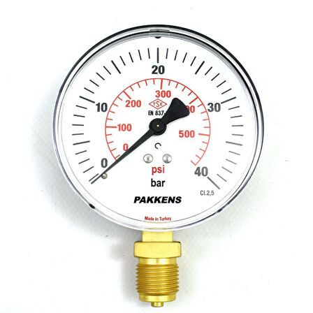 Pakkens 0-40 Bar 100 mm Alttan Bağlantılı Kuru Manometre G 1/2 inç