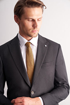 Antrasit Kırlangıç Yaka Kendinden Desenli Esnek Bel Slim Fit 6 Drop Takım Elbise 1001255167