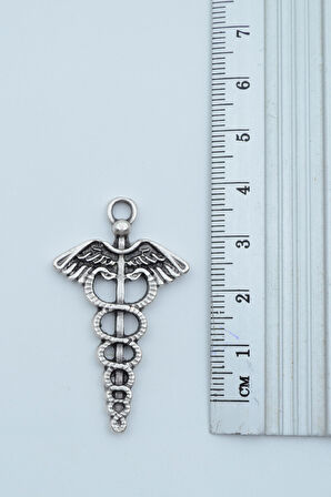 2'li Tıp Sembolü Kadüse Yılan Çubuk Gümüş Kaplama Kolye Seti