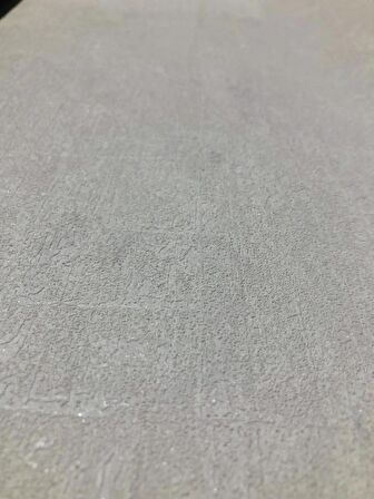 Duvar Kağıdı 16.5m2 Simli ve Silinebilir Özellikli Tuşba Duvar Kağıdı