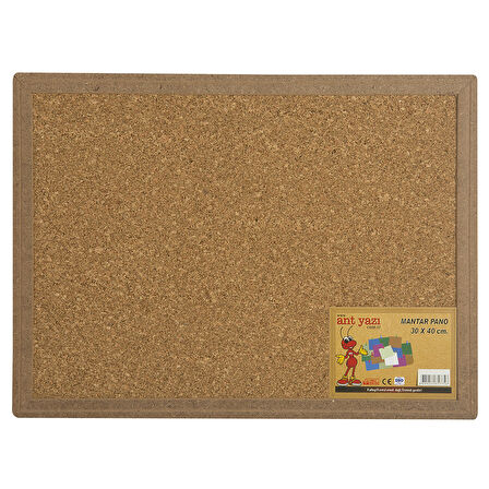 Ant Mantar Pano 30X40cm