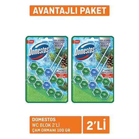 Domestos Wc Blok 2'li Çam Ferahlığı 2x100 G