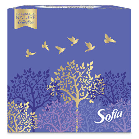 Sofia Küp Kutu Mendil 50'li 2 ADET