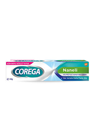 Diş Protezi Yapıştırıcı Krem 40 G