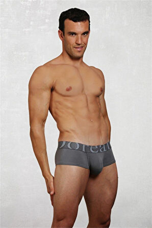 1779 Sportif Erkek Boxer