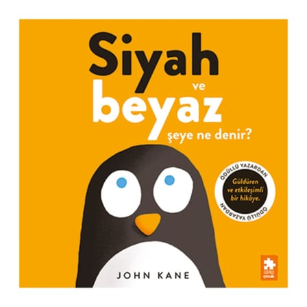 Siyah ve Beyaz Şeye Ne Denir?
