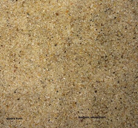 Akvaryum Quarz Kum 1-2 mm 5kg Quartz Kum Kuvars Kum