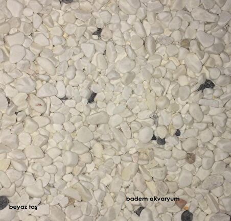 Akvaryum Beyaz Taş 1cm 10 kg Beyaz Taş Akvaryum Taşı Bahçe Taşı