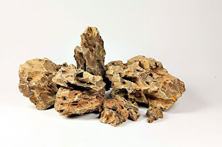 Dragon Stone Tasarım Kayası 2,5 Kg