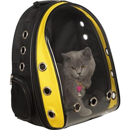 Şeffaf Astronot Kedi Köpek Taşıma Çantası 42 x 22 x 33 cm Renkli