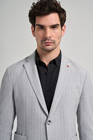 Çizgili Desen Gofreli Mono Yaka Esnek 6 Drop Slim Fit Ceket 1002250122