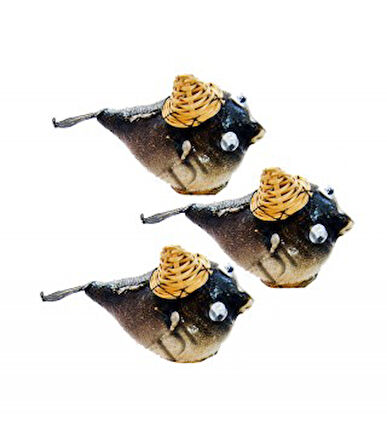 Balon Balık Küçük Boy