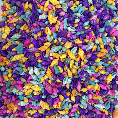 Nassa Shell-Karışık Renkli Kiloluk Deniz Kabuğu 250 Gr