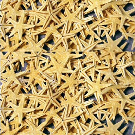 Naturel Deniz Yıldızı Minik Boy 0.5 -2 CM (10 Adet)  Natural