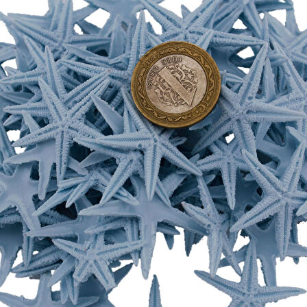 Polyester Deniz Yıldızı Minik Boy  0.5 CM- 1.5 CM (100 Adet)  Açık Mavi