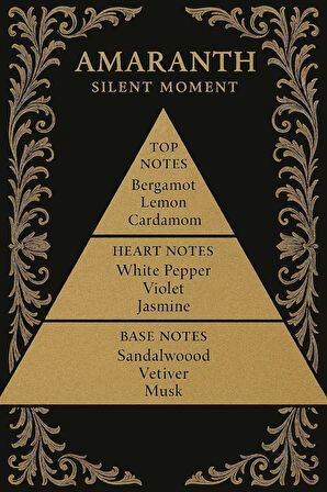 Amaranth Silent Moment Afrodizyak Erkek Parfüm 100 ml 