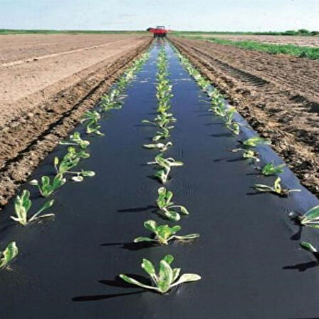 ÇİLEK MULCH NAYLONU 100 CM x 1000 METRE SİYAH TABAN ÖRTÜSÜ PİDOK ÇİLEK MULCH 30 MİCRON UV Lİ SEBZE NAYLONU
