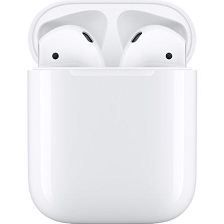 SNX BLT28 TRUE WİRELESS BLUETOOTH KULAKLIK