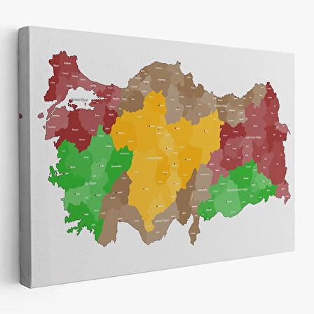 Harita Sepeti Türkiye Bölgeler haritası Dekoratif Kanvas Tablo 1004