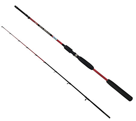 Balıkçı Tekne Seti Kendo Azurro 6000 3BB Olta Makinesi-Kendo Sea Bream 1.65m up to 150gr 2 Parça Olta Kamışı-2 Fosfor-2 Şamandıra-5x 50gr Kurşun-4 Çapari