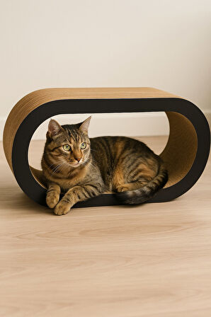 Rotipet Theta Karton Kedi Tırmalaması Siyah Large