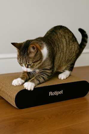 Rotipet Theta Karton Kedi Tırmalaması Siyah Small