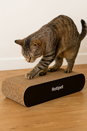 Rotipet Theta Karton Kedi Tırmalaması Siyah Small