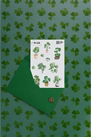 Monstera Şeffaf Sticker Seti Scrapbook Ajanda Journal Bullet Planner Telefon