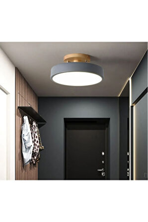 Modern Tekli Led Davul Avize