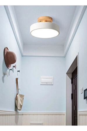 Sima Avize Modern Tekli Led Davul Avize