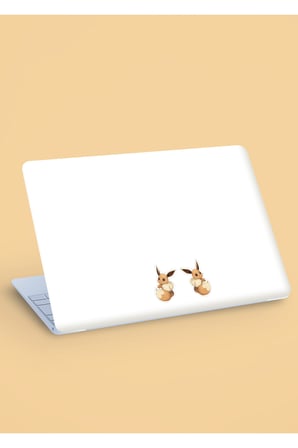 Eeve Pokemon Sticker Set *Mat kağıt* 2 Adet