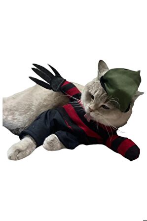 Freddy Krueger Kedi Kostümü XS Beden (2-4 Kg)