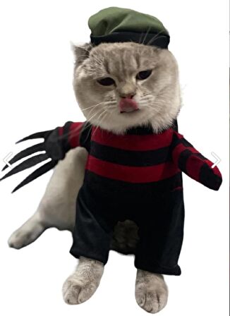 Freddy Krueger Kedi Kostümü XS Beden (2-4 Kg)