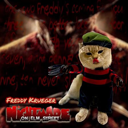 Freddy Krueger Kedi Kostümü S Beden (4-6 kg)