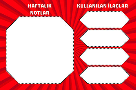 Diyabet Ölçüm Takip Çizelgesi Defteri A Kalite Özel Tasarım 3 Aylık A5 Kırmızı