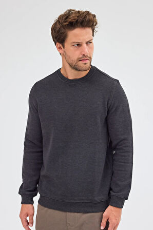 Antrasit Uzun Kol Bisiklet Yaka Düz Pamuklu Comfort Fit Sweatshirt 1013255150