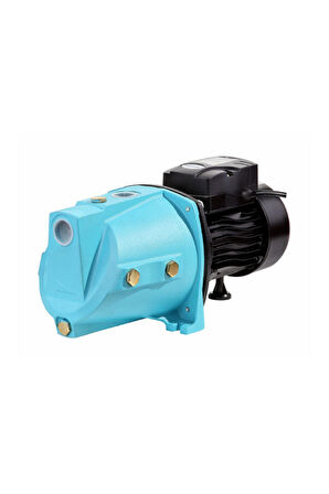 Jet D-jswm-20m 2hp Döküm Gövdeli Jet Santrifüj Pompa (çıkış Çapı: 1 1/4")