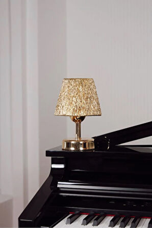 Modern Led Abajur Üst Gold -Alt Parlak Gold Detay
